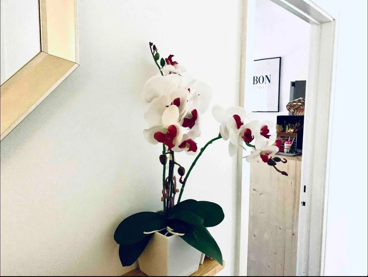 Self-Check In Sunny & Charming Apt Coimbra Apartment